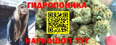 кокс Гагарин