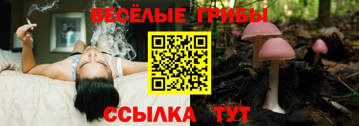 Галлюциногенные грибы мухоморы  Галлюциногенные грибы мицелий  Нижний Тагил  наркота  Вход с VPN 